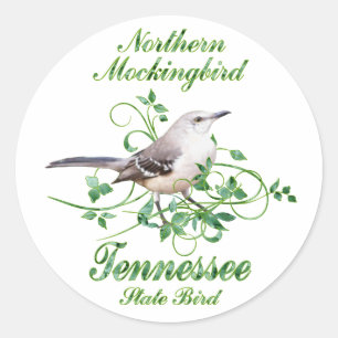 Adesivo Mockingbird Tennessee State Bird