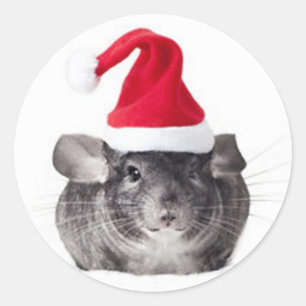 Adesivo Modelo adorável do papai noel da chinchila