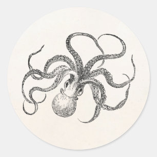 Adesivo Modelo do polvo do vintage no papel antigo