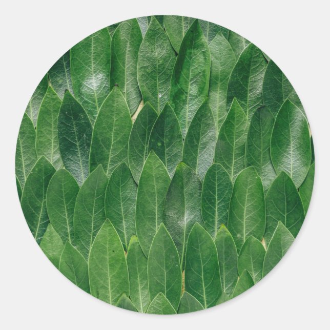 Adesivo Modelo em Branco com Estampa de Folha Verde (Frente)