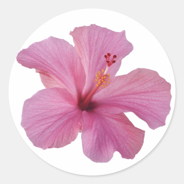 Adesivo Modelo Personalizada de Flor Havaiana, Hibiscus Ro (Frente)