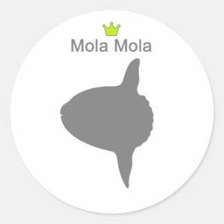 Adesivo Mola Mola g5