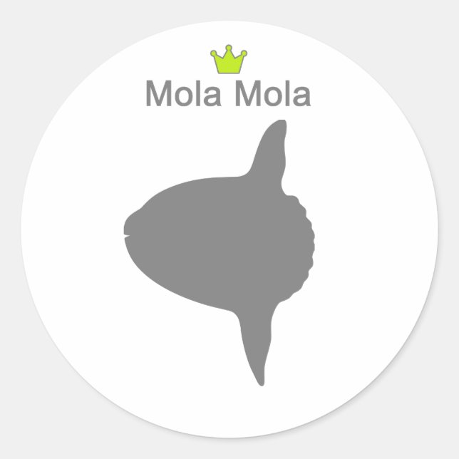 Adesivo Mola Mola g5 (Frente)