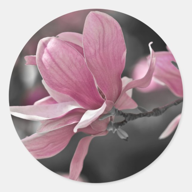 Adesivo Molho Rosa Japonês Magnolia (Frente)