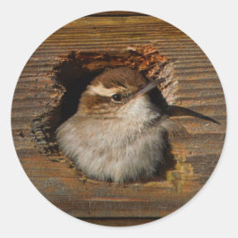 Adesivo Momento bonito do Airbnb Wren de Bewick na Nestbox