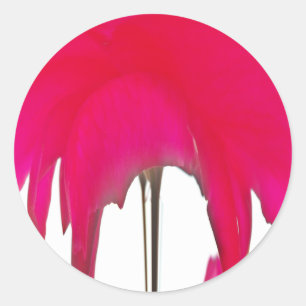 Adesivo Momento Capturado: Uma Elegância Petal Rosa vermel