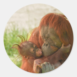 Adesivo Momentos de Tensão Mãe de Orangutan