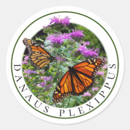 Adesivo Monarca Borboletas e Bee Balm Monarda