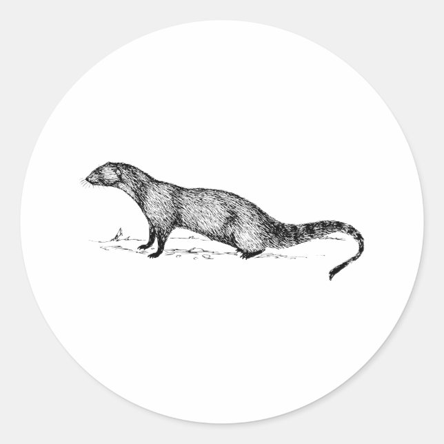 Adesivo Mongoose (Frente)