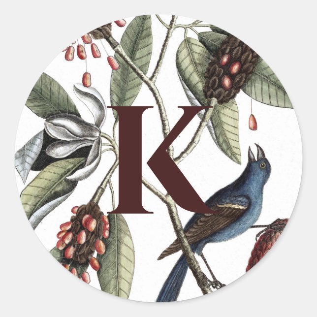 Adesivo Monogramas Stickers *Carolina Porch* (Frente)