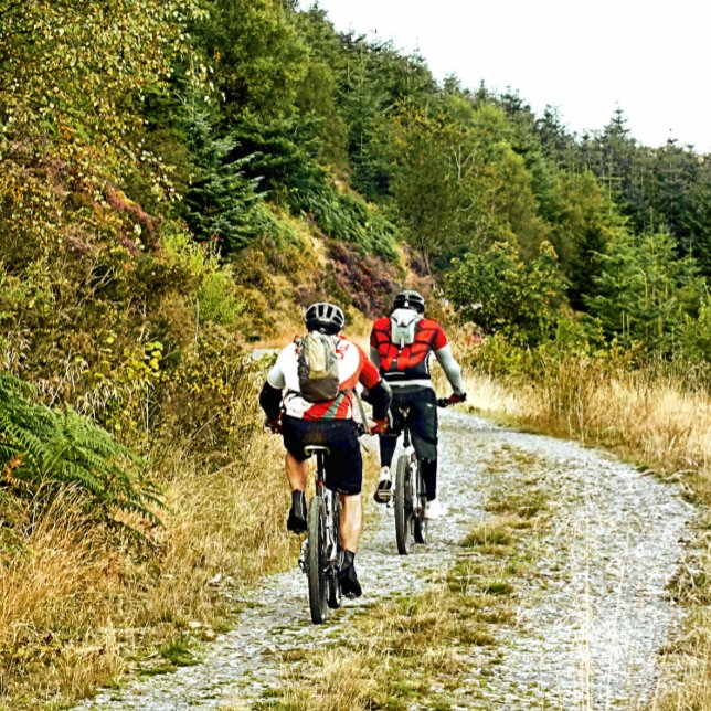 ADESIVO MONTANHA BIKING (Criador carregado)