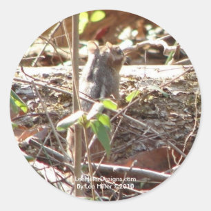 Adesivo Montanha de Primaveras Quentes, Presentes de Chipm