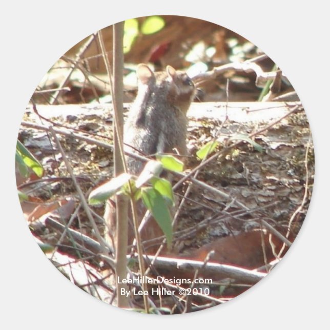 Adesivo Montanha de Primaveras Quentes, Presentes de Chipm (Frente)