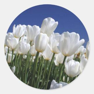 Adesivo Montanha de tulipas brancas contra céu azul