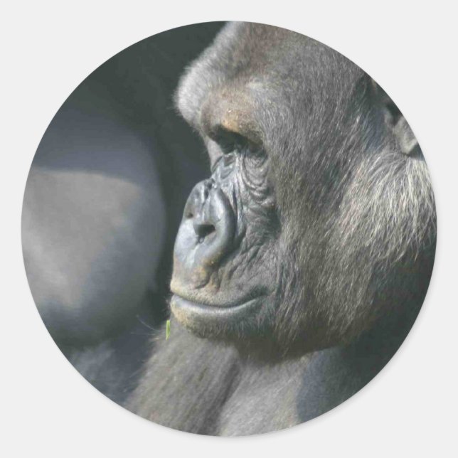 Adesivo Montanha Gorilla Stickers (Frente)