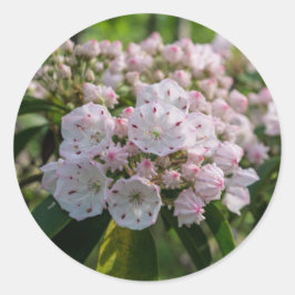 Adesivo Montanha Laurel Wildflower Sticker