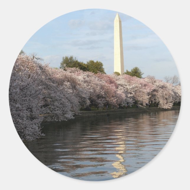 Adesivo Monumento de Cherry Blossom Washington (Frente)