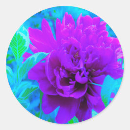 Adesivo Moody Purple Peony com Linda Folhagem Weigela