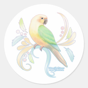 Adesivo Moon Cheek Conure