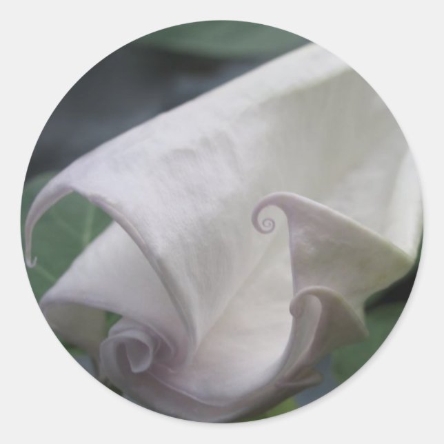 Adesivo Moonflower (Frente)