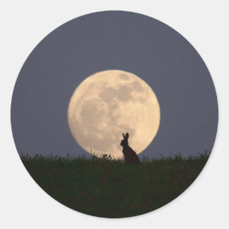 Adesivo Moongazer.JPG