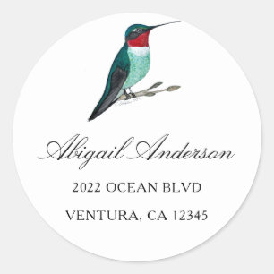Adesivo Morada de Hummingbird com garganta de Ruby