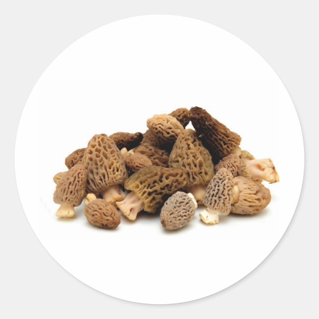 Adesivo Morel Mushroom (Frente)