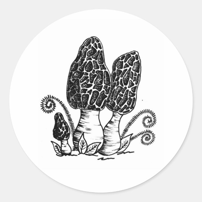 Adesivo Morel Mushroom Stickers (Frente)
