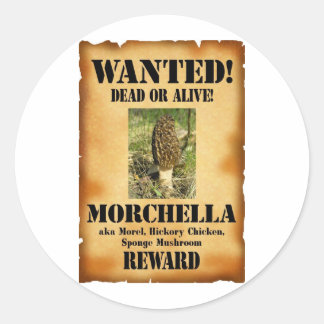 Adesivo Morel - Poster alada