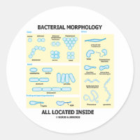Morfologia Bacteriana, Todas As Dentro Localizadas