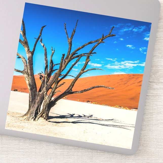 Adesivo Morto em Deadvlei, Namíbia (Detalhe)