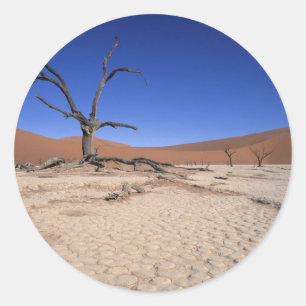 Adesivo Morto Vlei, Sossusvlei, Namib-Naukluft Nacional