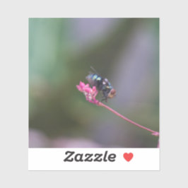 Adesivo Mosca no Rosa