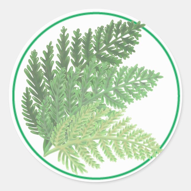Adesivo Moss Green Fern (Frente)