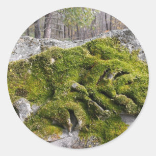 Adesivo Mossy Broken Headstone