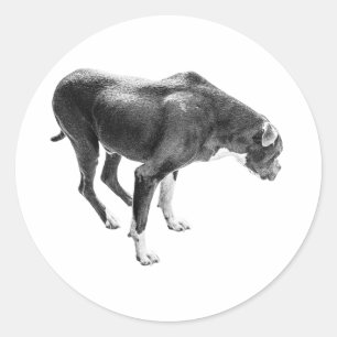 Adesivo Motivo da Lealdade