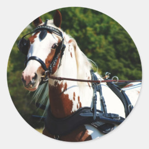 Adesivo movimentação nacional