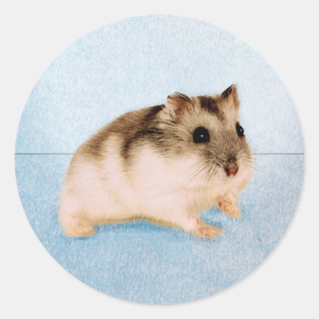 Adesivo Mu Mu, o Hamster (Frente)