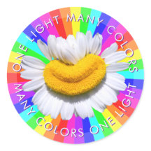 “Muitas Cores Uma Luz” Camomila Sorridente Arco-ír