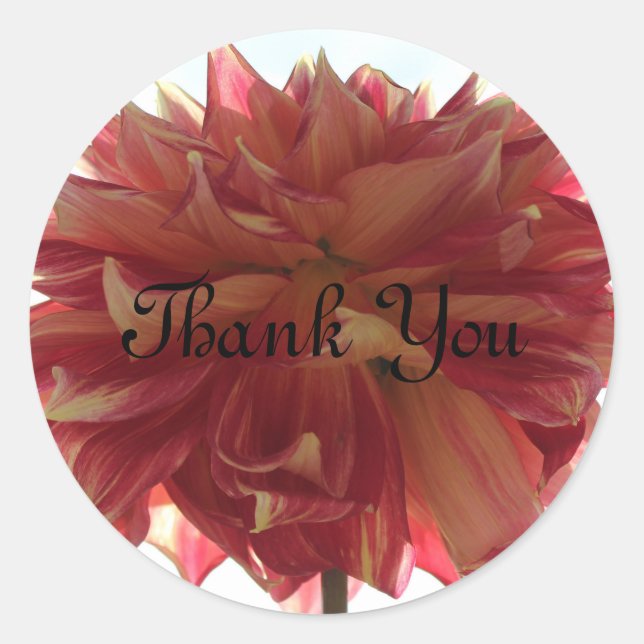 Adesivo Muito obrigado. (Frente)