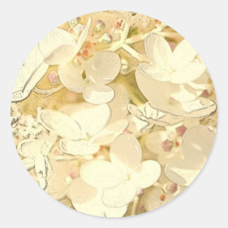 Adesivo muitos Pequeno