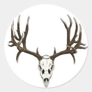 Adesivo Mule Deer skull