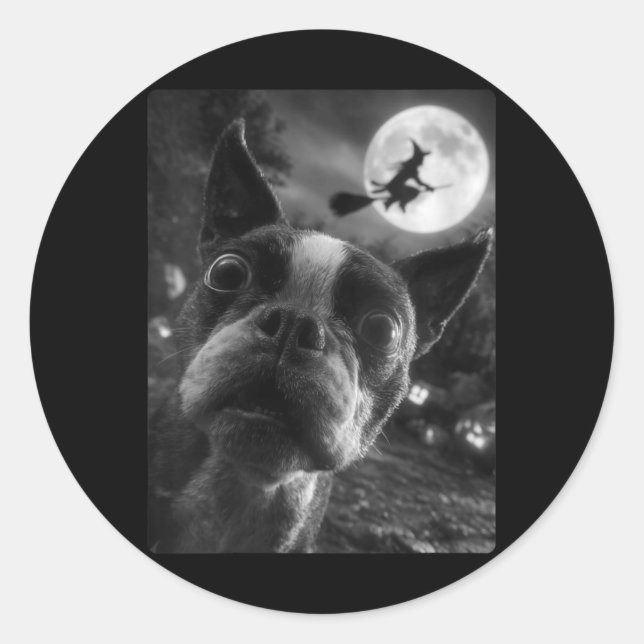 Adesivo Mulher Boston Terrier Selfie Lua Cheia Voando (Frente)