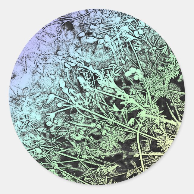 Adesivo Multicolores (Frente)