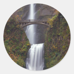 Adesivo Multnomah cai no outono atrasado