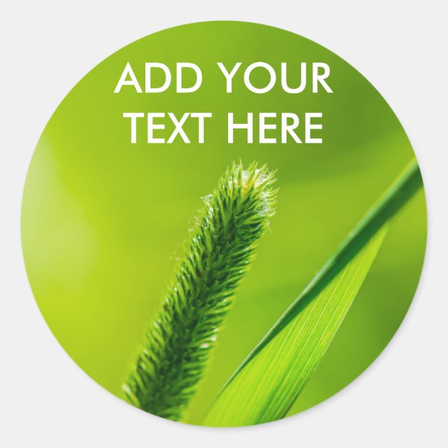 Adesivo Mundo Verde (Frente)