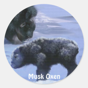 Adesivo Musk Oxen e Snow Animal-Lover Art Set