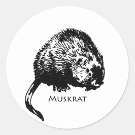 Adesivo Muskrat (ilustração)