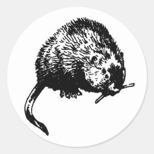 Adesivo Muskrat (ilustração)