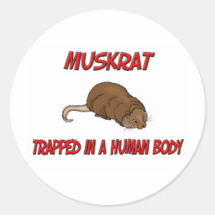 Adesivo Muskrat prendido em um corpo humano